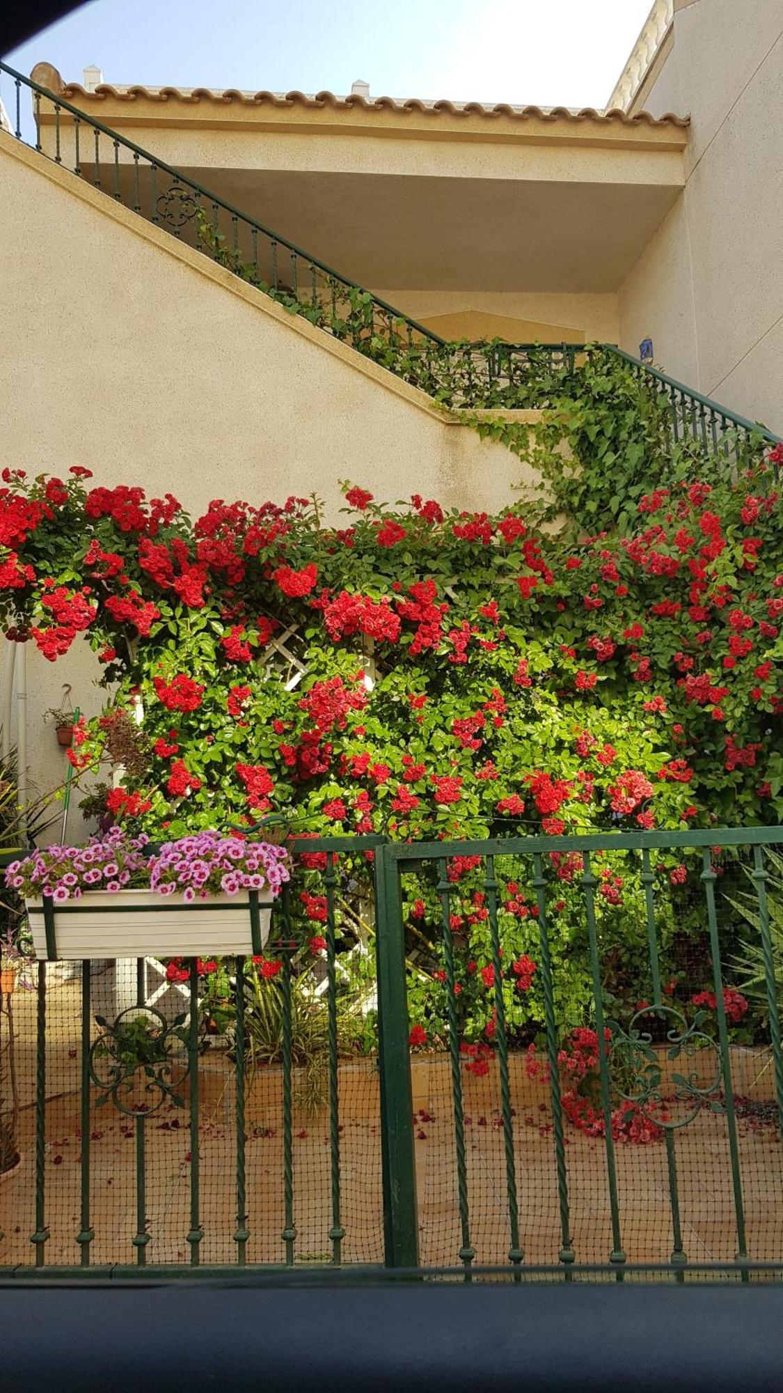 Apartamento Montegolf Con Terraza Privada Los Dolses Екстер'єр фото